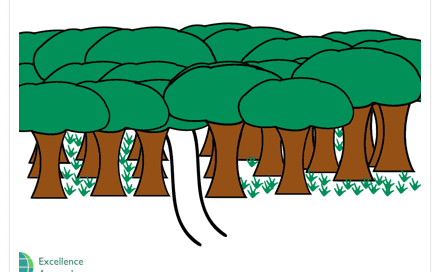 Creating habits - neural pathway