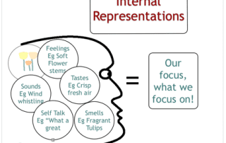 NLP Internal Representations | Happiness | Blog