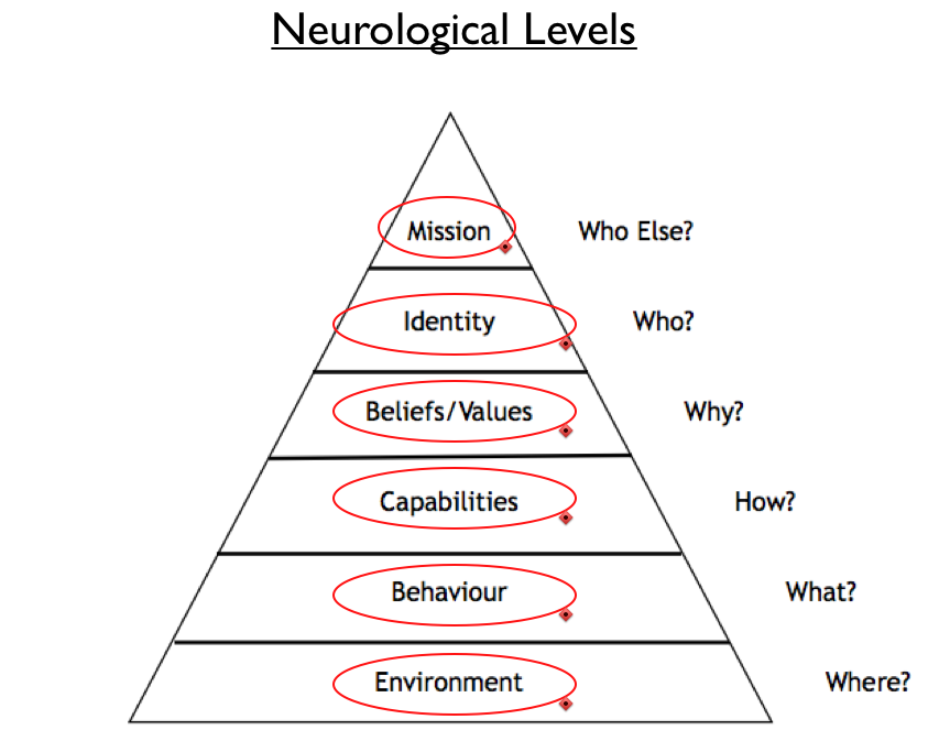 Neurological levels