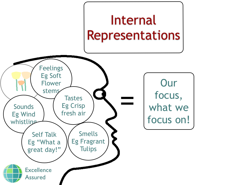 internal representation meaning in english