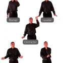 NLP Satir Categories