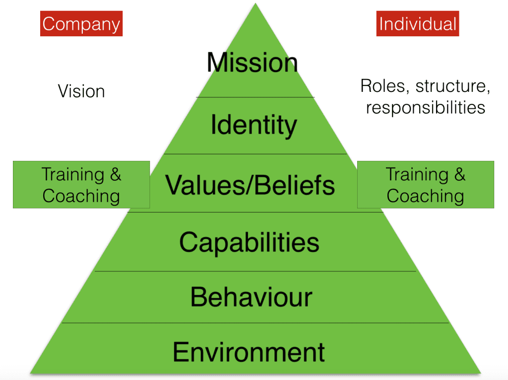 neurological levels model