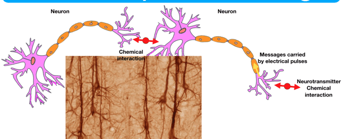 NLP your power to beat stress