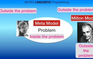 Linguistics in NLP - the Language