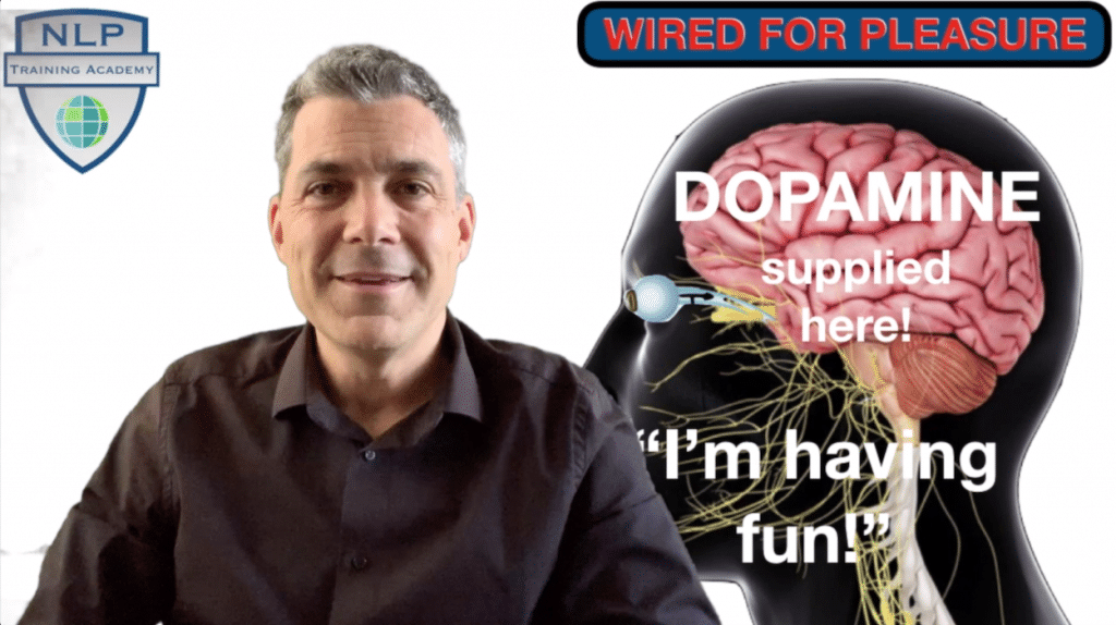 NLP techniques and our pleasure centers