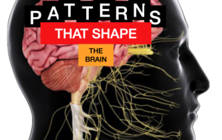 Patterns that shape the brain