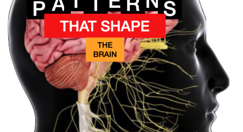 Patterns that shape the brain